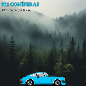 911 Coníferas