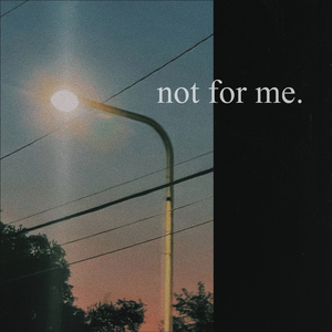 Not For Me (feat. Gabrielle Foley)