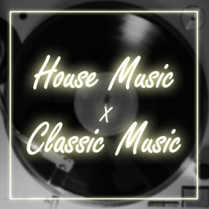 Rimsky Korsakov : Flight Of The Bumblebee (림스키코르사코프 왕벌의비행) (House Mix)