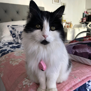 Mimmi Springer Ut Och In