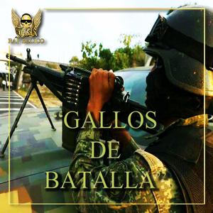 Gallos de Batalla (feat. Yibran Mc)