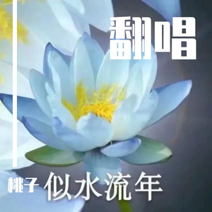 杏花弦外雨