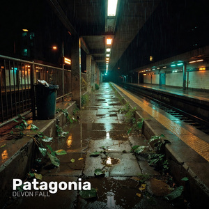 Patagonia