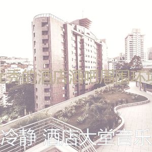 优美酒店酒廊器乐