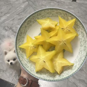 倾听自然白噪音