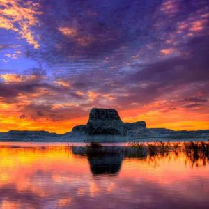 簇拥烈日的花(温馨版)