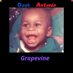 Grapevine