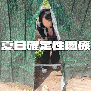 夏日確定性關係（demo）