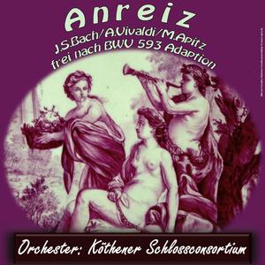 Anreiz Adaption J. S. Bach BWV593 (Martina Apitz + Orchester Köthen) [frei nach Bach und Vivaldi]