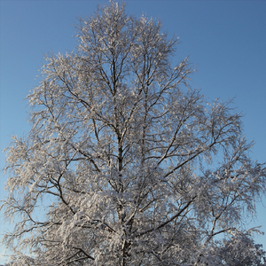 Mattelektionen som aldrig blev av