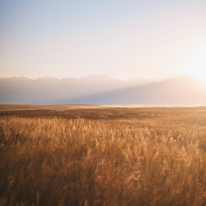 Now We Are Free (Piano Version)