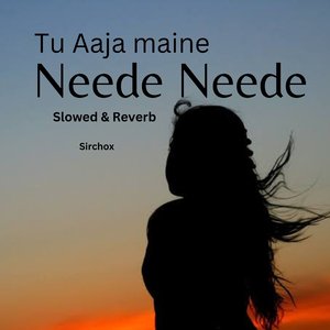 Tu aaja Mainu Neede Neede (Slowed+Reverb)