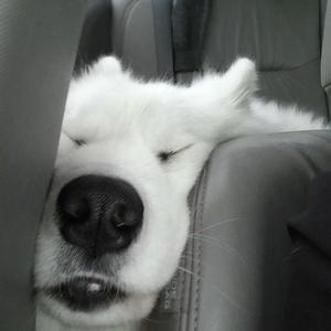 IMG_2022-03-29_19:12:34_0