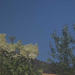 Till Death Would Be Close