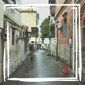 铁轨延伸进迷雾的怅惘