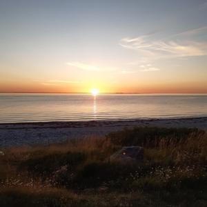 Drengedrømme