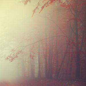 屯门儿童合唱团-虫儿飞（夜游神 remix）