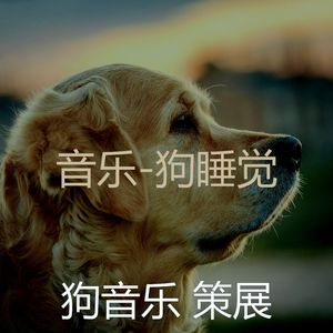 好玩的(宠物睡觉)