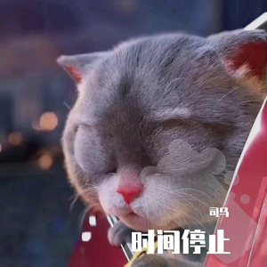 时间停止