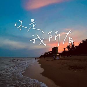 你是我所有（《良辰美景好时光》主题曲）（翻自 摩登兄弟刘宇宁）