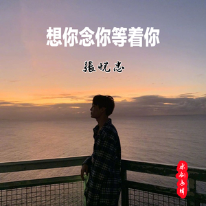 想你念你等着你