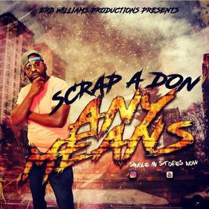 Anymeans Scrap a DON! E.W.P