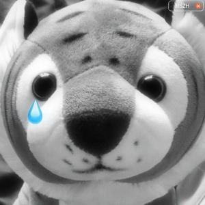 從 頭 來 過 Happy Together