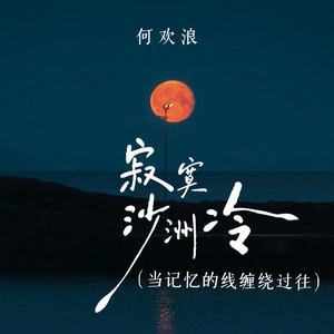 寂寞沙洲冷 (记忆的线缠绕过往)