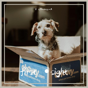 first •sight(Prod by Red killer）