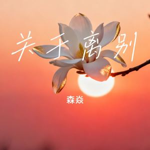 玉兰花开
