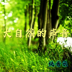 大自然的声音 (纯音乐)