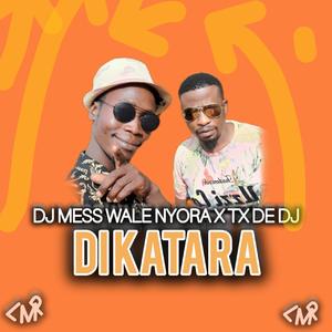 Dj mess wale nyora x TX the dj ft di katara