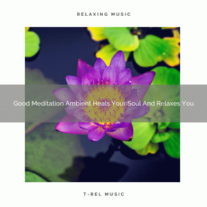 Good Meditation Ambient Heals Your Soul And Recharges