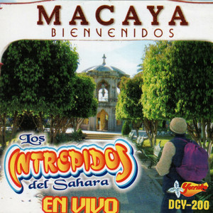 Macaya (En Vivo)