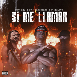 Si Me Llaman