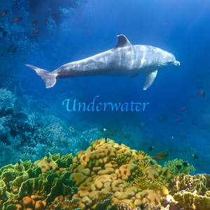 Underwater