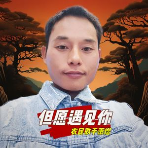 但愿遇见你