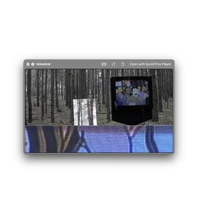 telewizor