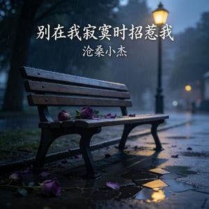 别在我寂寞时候招惹我(我曾经爱上一个人)
