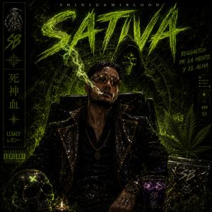 Sativa