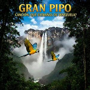 QUE EXTRAÑAS DE VENEZUELA?