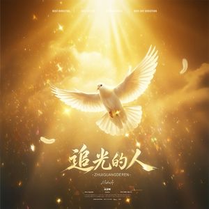 追光的人