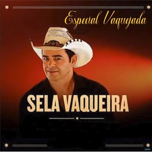 Cavalo Abandonado