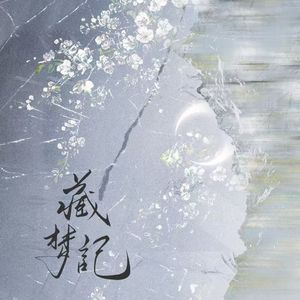 藏梦记