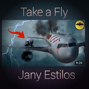 Take a Fly