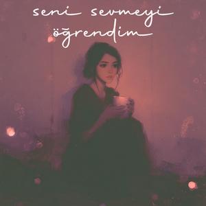 seni sevmeyi öğrendim