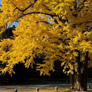 懂雨（Prod MORROW）