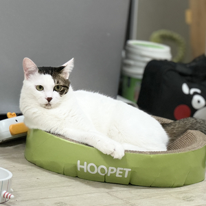 抽干情绪的利他者