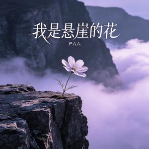 我是悬崖的花