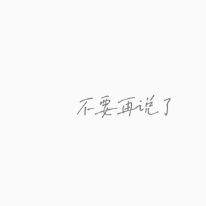 不要再说了